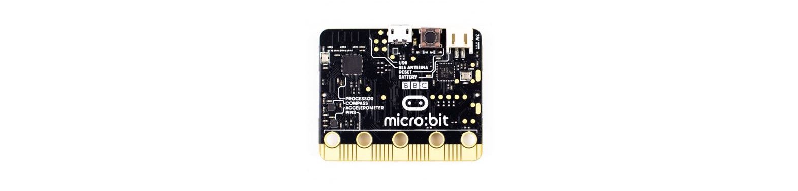 MICRO:BIT